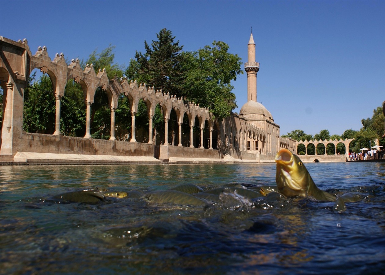 Dünyanın ilgi odağında… Şanlıurfa