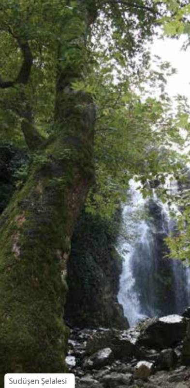 Geçmişten bugüne şifa merkezi... Yalova